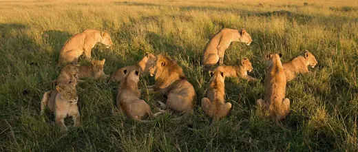 Create a Hidden Word Photo