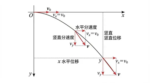 Projectile Motion Trajectory and Velocity Decomposition Diagram